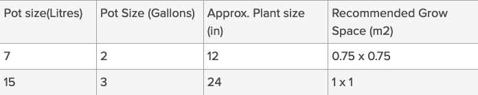 Best Pot Size for Cannabis Grow (Small)