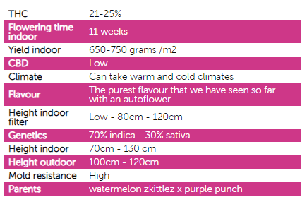 stats