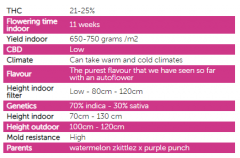 stats