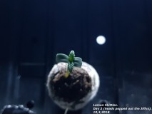 20180310_183528