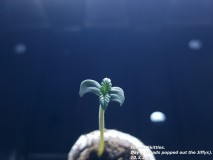 20180310_183533