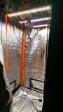 obscura1617714994783