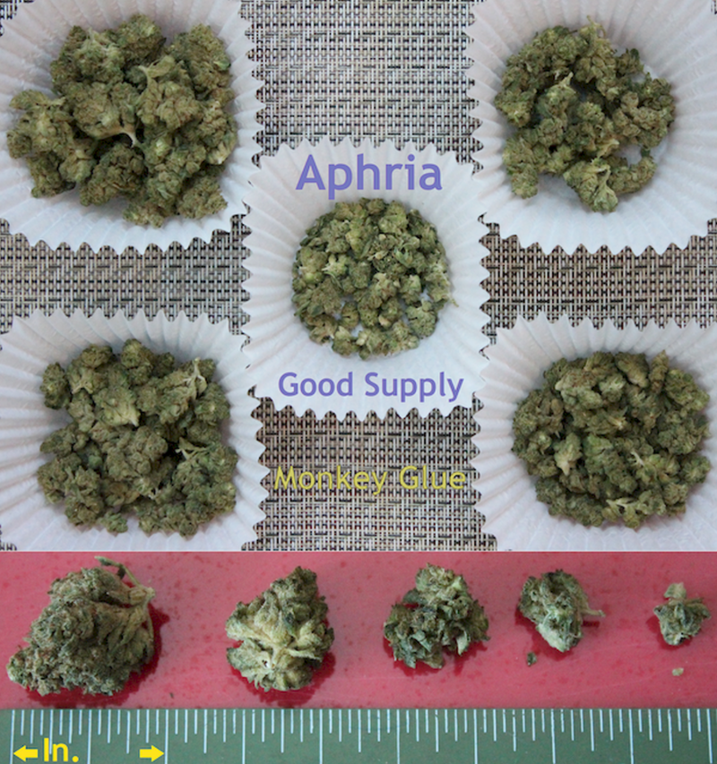 SQdC - Aphria - Good Supply - Monkey Glue