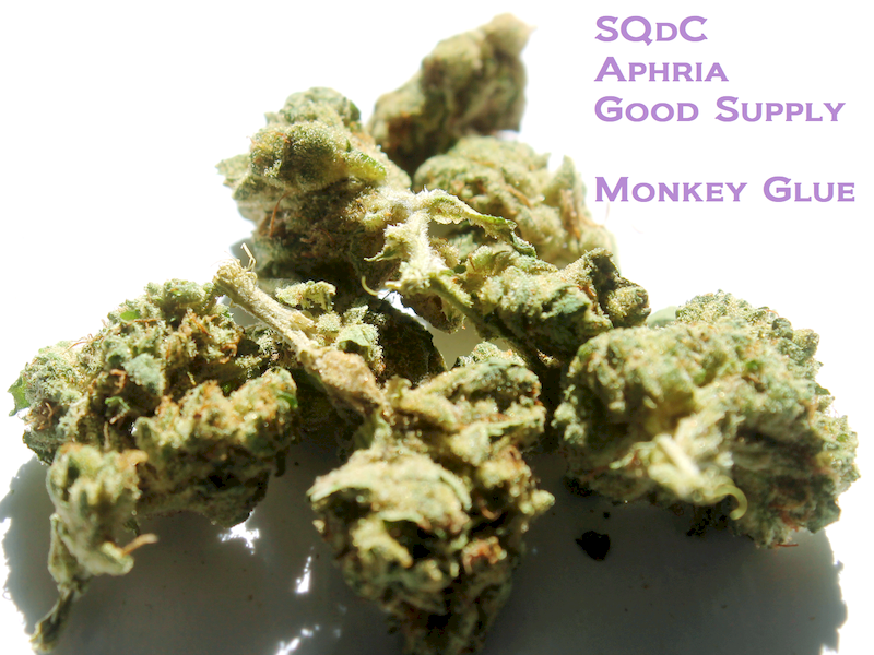 SQdC - Aphria - Good Supply - Monkey Glue