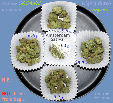 SQdC - TGOD, Highly Dutch Organic - Amsterdam Sativa - Dried @ 210 F for 30 min., then sampled...