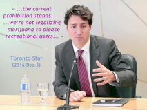 Justin MiniPET Trudeau - Toronto Star (2016-Dec-3)