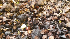 IMG-20210413-WA0021