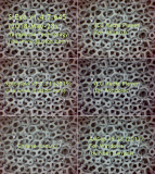 Microscope Software - VG SiC Puck [570x640]