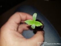 20180312_092000