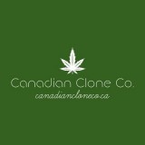 CCO Thread