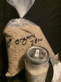 BARLEY