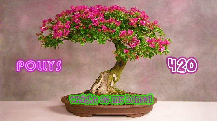 3F7F0BE8-43F7-4D14-B524-A44E4D7FEA9C