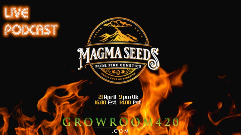 mn podcast 21 april maga seeds