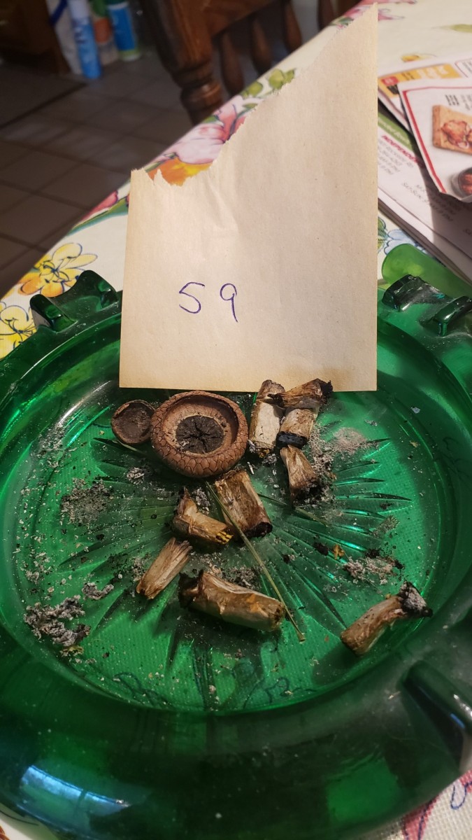 16189549382707082559558732520581