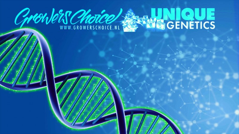mn dna gc 2021