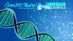 mn dna gc 2021