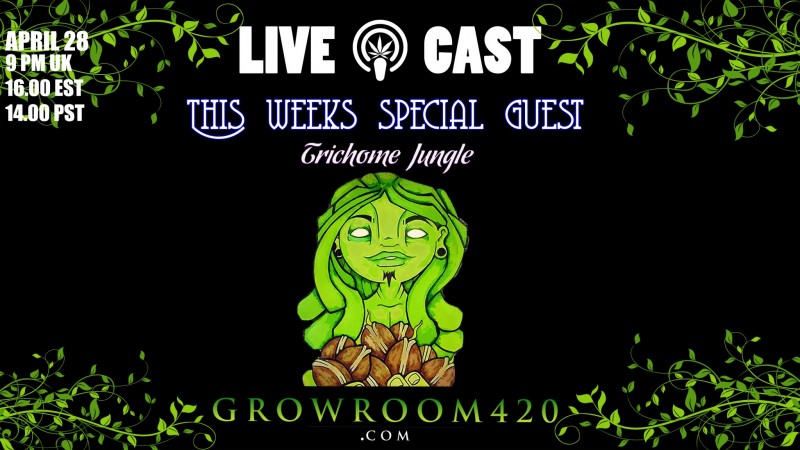 mn podcast 28th april  trichome jungle