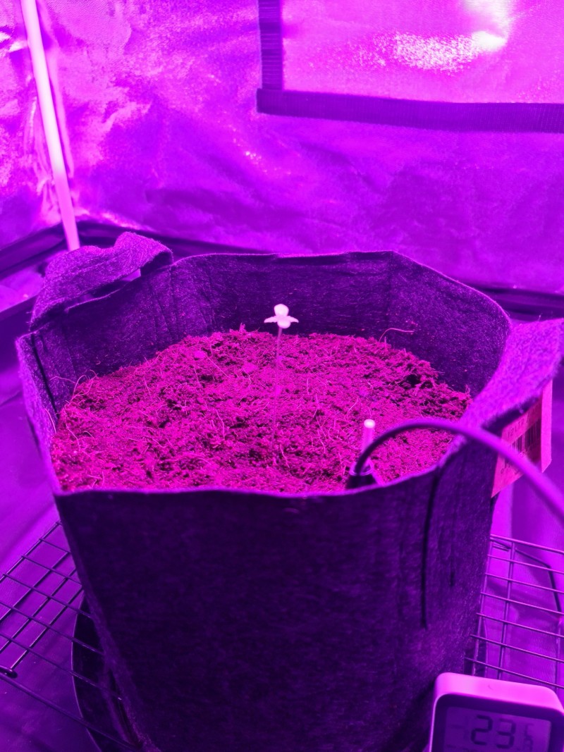 20210424_163537