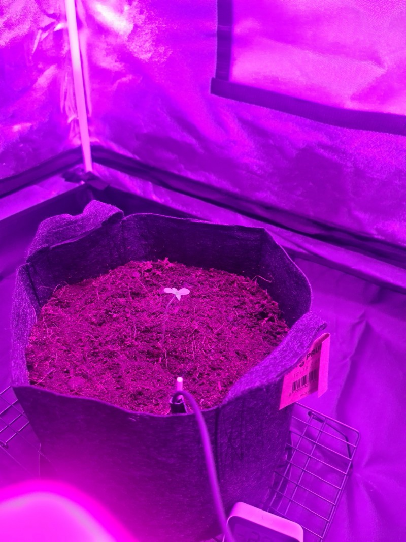 20210424_065007