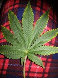 IMG_20210425_184231