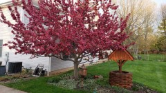 16194810919884838293065193943106