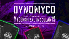 mn dynomtco