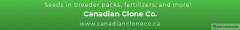 CCCbanner2