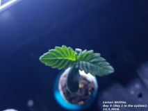 20180313_144131