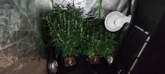 IMG_20210502_174047