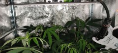 IMG_20210503_111827