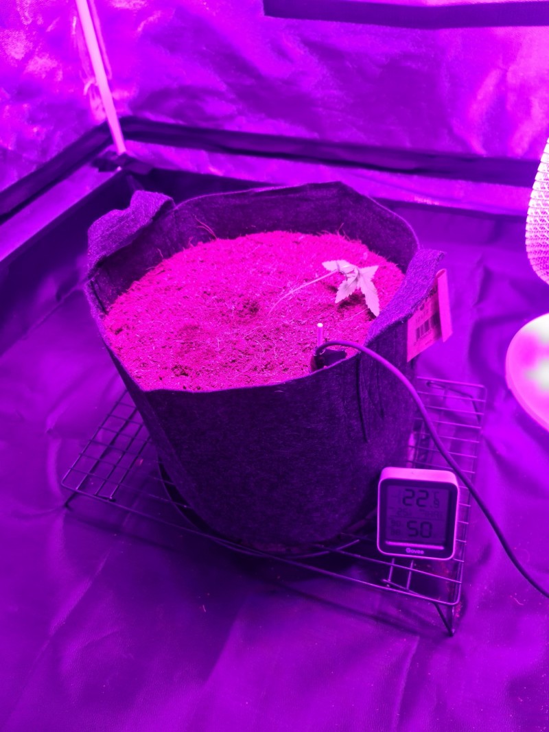20210503_071122