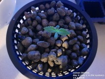 20180313_174258