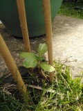 IMG_20210511_102850