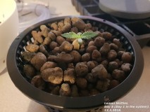 20180313_174303
