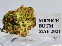 MN BOTM may 2021