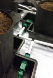 plumbed