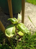 IMG_20210518_112011