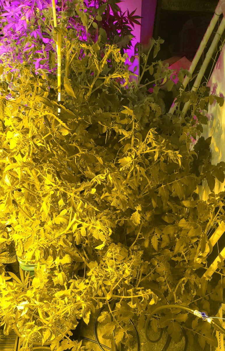 2021-05-31 10.49.05