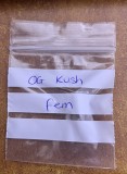 1BB0D323-E4F5-405B-B88A-6AFFCA8064CD