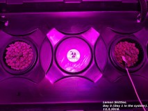 20180313_193131