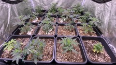 autos