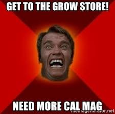 arniecalmag