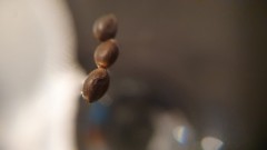 IMG-20210619-WA0031