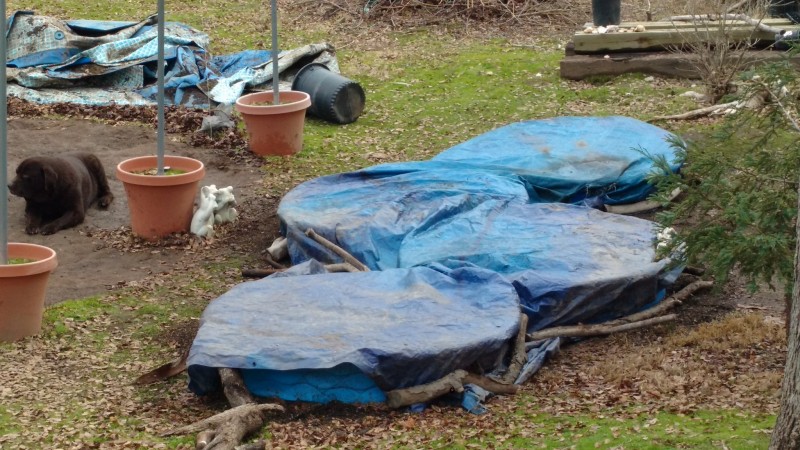 cooking super soil