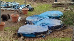 cooking super soil