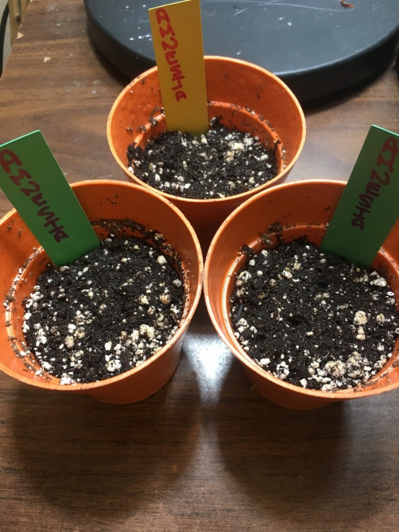 start week 3 013