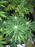 start week 3 017