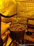 20180322_211834