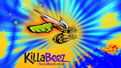 mn killabeez seeds honey explode