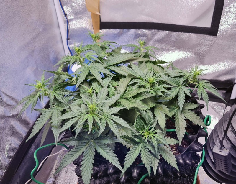 day 22